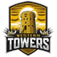 Western Towers Flag
