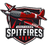 Southern Spitfires Flag