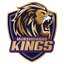Murshidabad Kings Flag