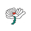 YOR Logo