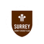 Surrey Flag